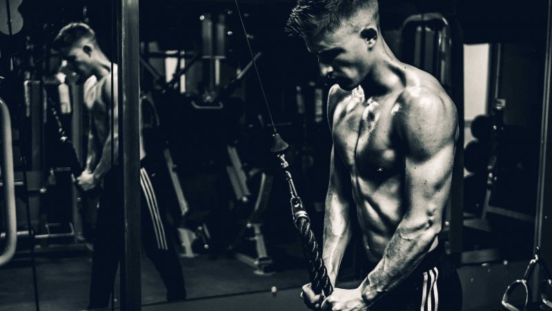 Strength exercises to increase muscle mass